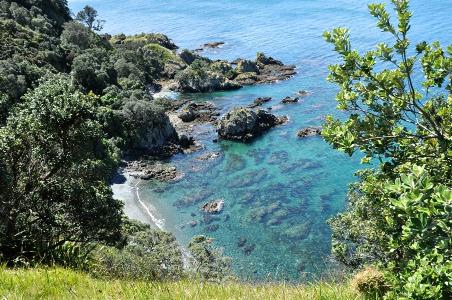 Tiritiri Matangi
