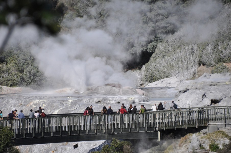 Te Puia Geyser