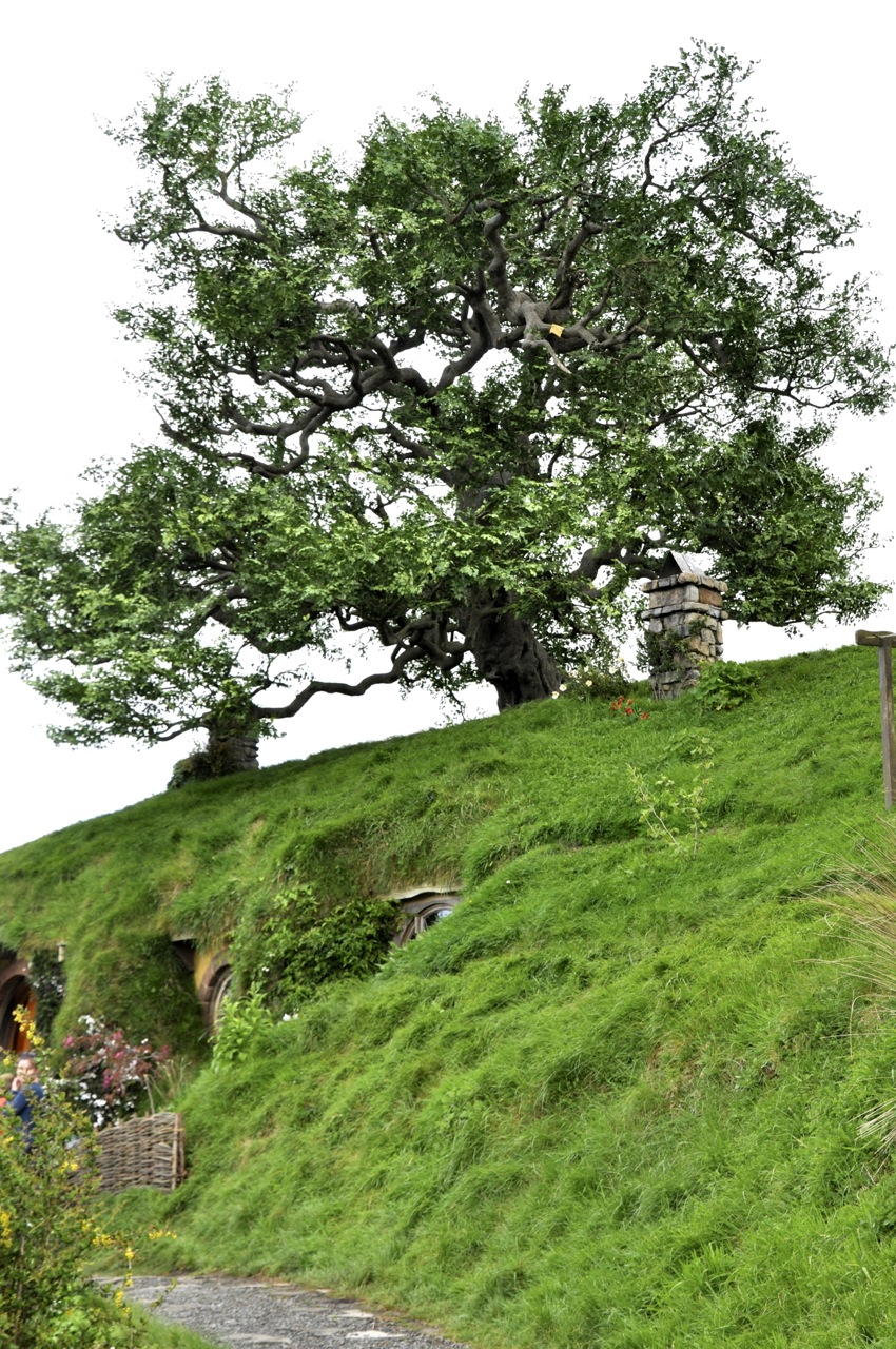 Hilltop Tree (fake)