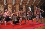 Waitangi Cultural Show