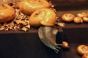 Carniverous land snail