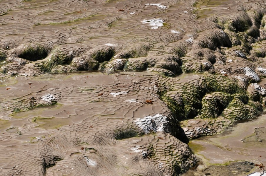 Silica Terrace detail