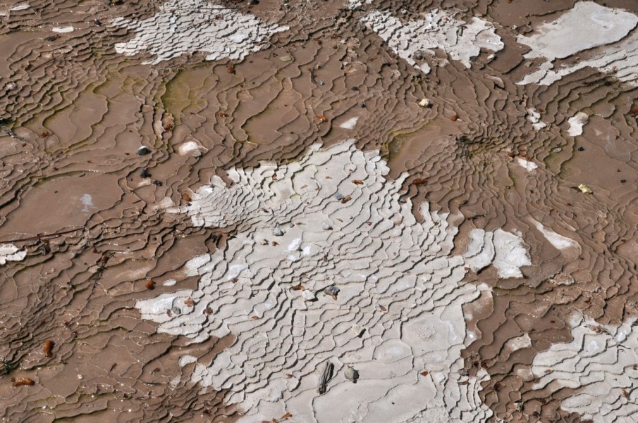 Silica Terrace detail