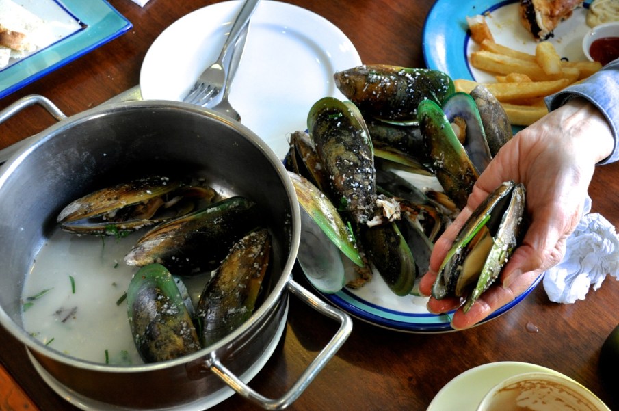 Green-lipped mussels