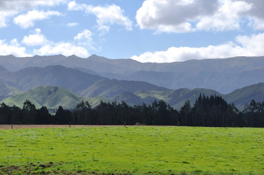 Hawke's Bay Mountains