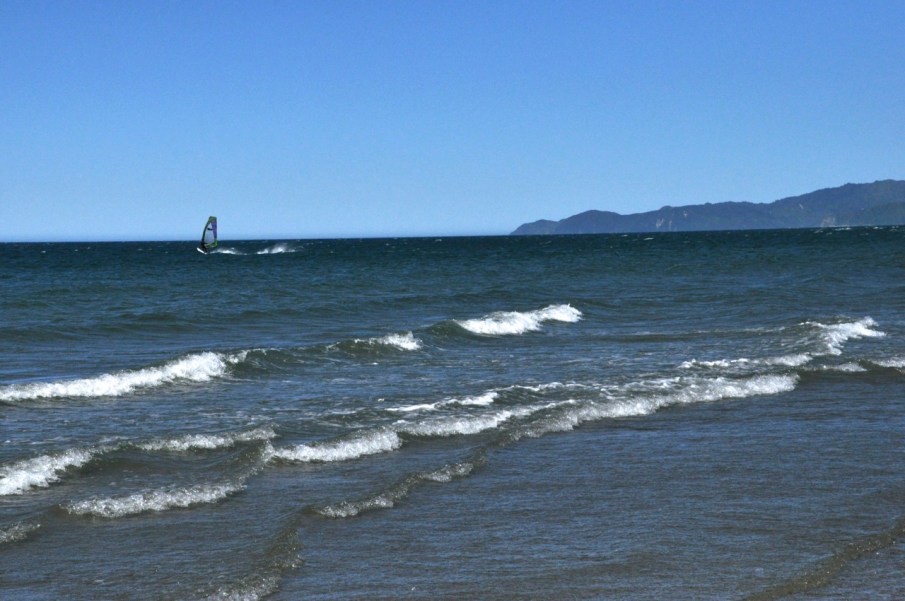 Kiwis love their water