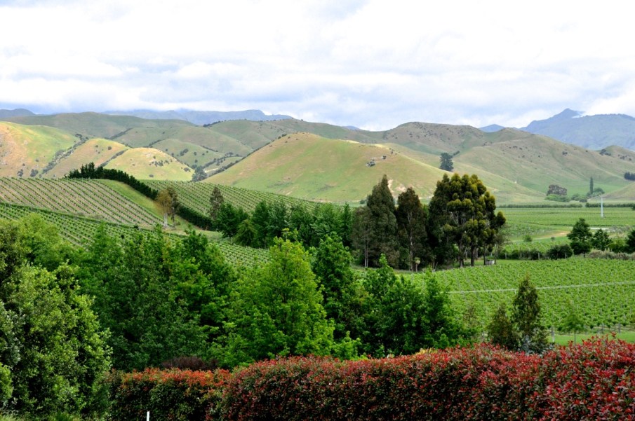 Marlborough Hills