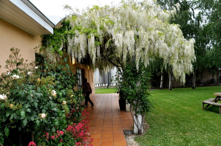 Martinborough Cellar