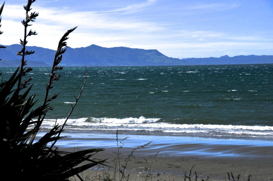 Wainui Bay