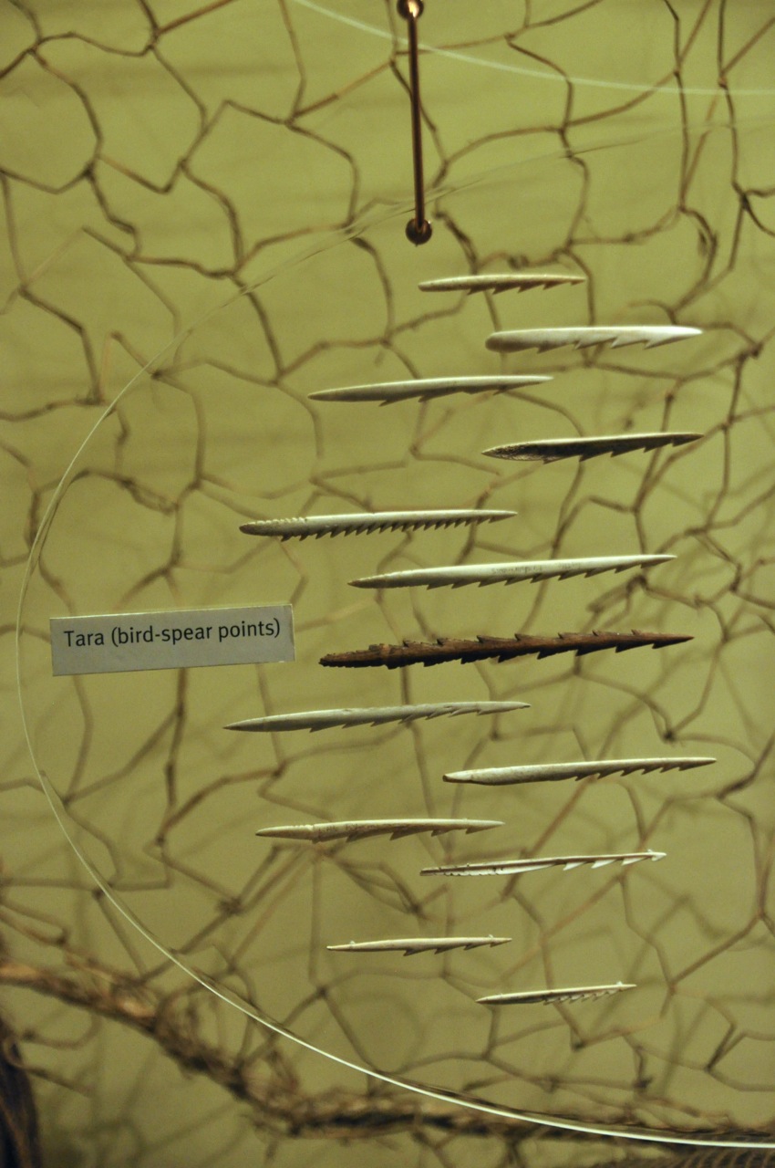 Spear points for birds