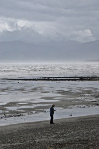 Ginger finding jewels