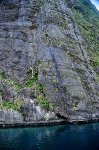 Horizontal scar marks from the glacier that formed the Sound
