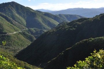 On the road to the Waipara Valley - and wine!