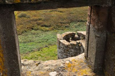 View from the window