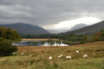 The Highland country scene