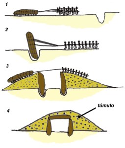 Hypothesized scenario for tomb building