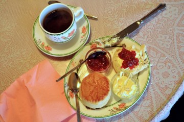 Tea, crumpets and clotted cream - yum!